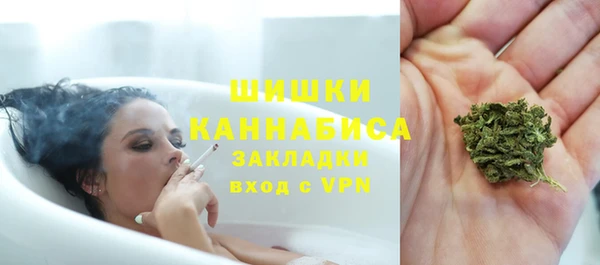 шишки Волоколамск