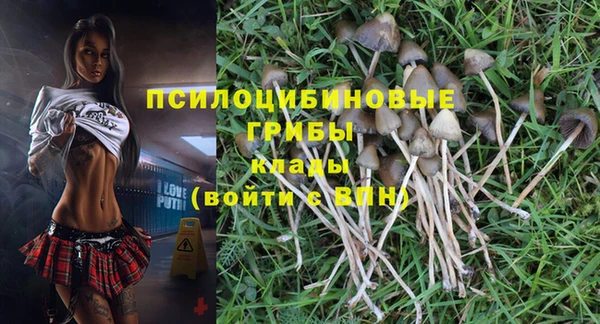 стафф Володарск