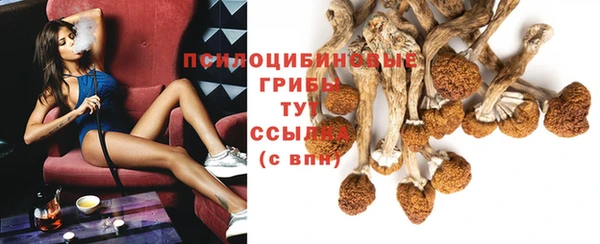 стафф Володарск