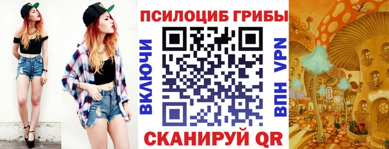 дарнет шоп  ОМГ ОМГ ТОР  Галлюциногенные грибы Magic Shrooms  Камень-на-Оби 